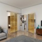 Pendeltür - Fineprint Modell 069 Gold auf Grauglas