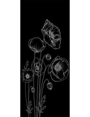 Ganzglastür Blume 10 Gelasert Auf Klarglas