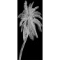 Ganzglastür Palme Gelasert Auf Klarglas