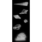Ganzglastür Muscheln III Gelasert Auf Klarglas Ganzglastür Muscheln III Gelasert Auf Klarglas