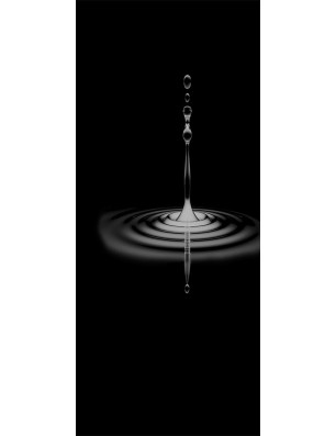 Ganzglastür Wasser 4 Gelasert Auf Grauglas