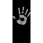 Pendeltür Hand Gelasert Auf Klarglas Pendeltür Hand Gelasert Auf Klarglas