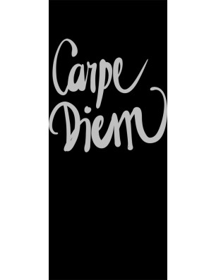 Pendeltür Carpe Diem Gelasert Auf Klarglas