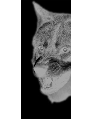 Pendeltür Wolf Gelasert Auf Grauglas