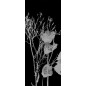 Pendeltür Blume 7 Gelasert Auf Grauglas Pendeltür Blume 7 Gelasert Auf Grauglas