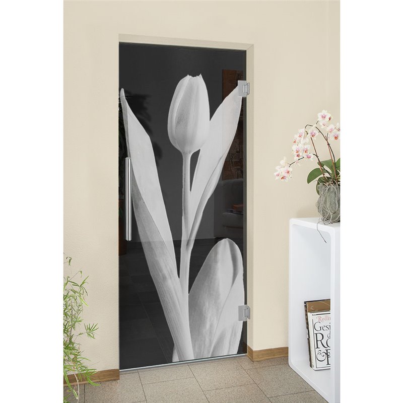 Pendeltür Tulpe Gelasert Auf Grauglas Pendeltür Tulpe Gelasert Auf Grauglas