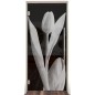 Pendeltür Tulpe Gelasert Auf Grauglas Pendeltür Tulpe Gelasert Auf Grauglas