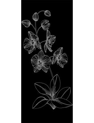 Lichtausschnitt Blume 9 Gelasert Auf Klarglas