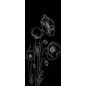 Lichtausschnitt Blume 10 Gelasert Auf Klarglas Lichtausschnitt Blume 10 Gelasert Auf Klarglas