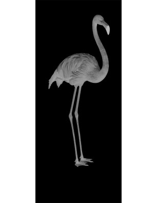 Lichtausschnitt Flamingo Gelasert Auf Klarglas