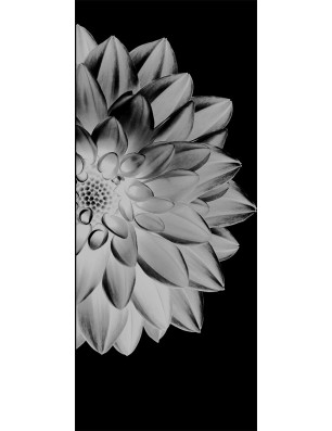 Lichtausschnitt Blume 4 Gelasert Auf Grauglas