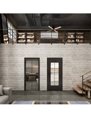 Ganzglastür Loft Schwarzlack 08 Auf Klarglas
