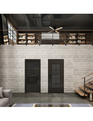 Ganzglastür Loft Schwarzlack 13 Auf Grauglas