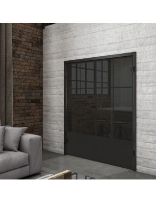 Ganzglastür Loft Schwarzlack 35 Auf Grauglas