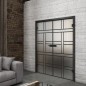 Ganzglastür Loft Schwarzlack 13 Blickdicht