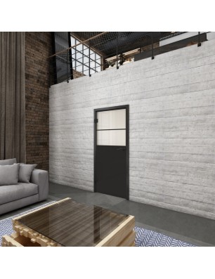 Ganzglastür Loft Schwarzlack 22 Blickdicht-modernes Zuhause