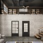 Ganzglastür Loft Schwarzlack 34 Blickdicht