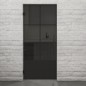 Pendeltür Loft Schwarzlack 35 Auf Grauglas