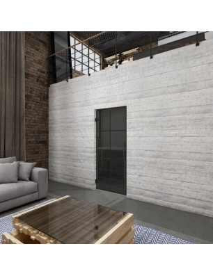 Pendeltür Loft Schwarzlack 06 Auf Grauglas-modernes Zuhause
