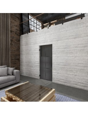 Pendeltür Loft Schwarzeisen Genietet 19 Auf Grauglas